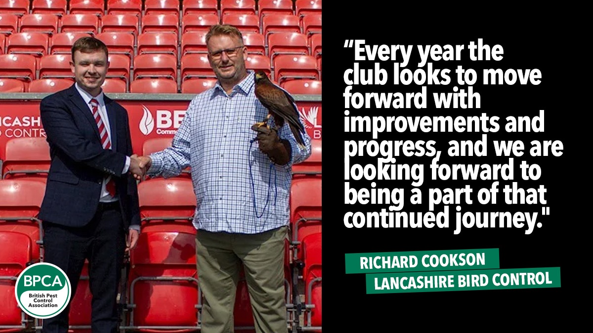 lancashire-bird-control-fleetwood-town lancashire-bird-control-fleetwood-town